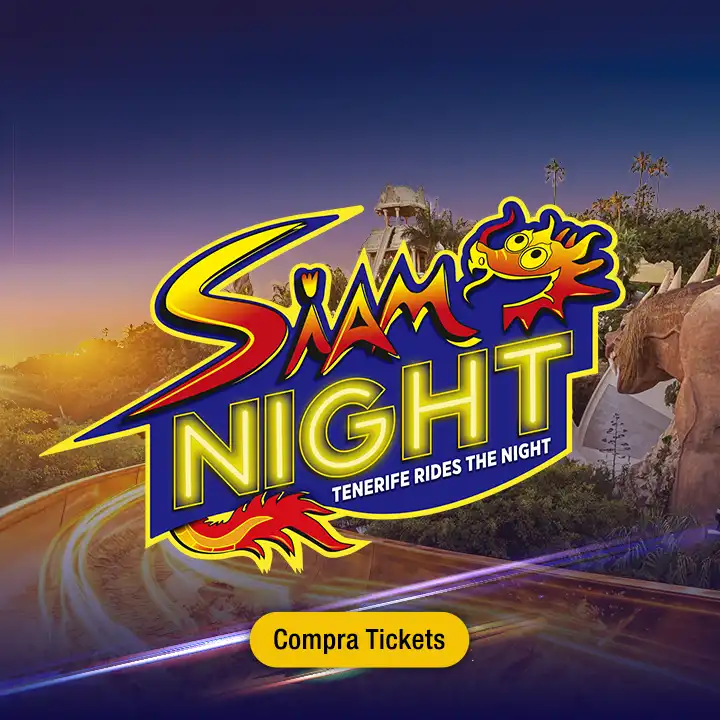 Invitacion Siam Night Siam Park Teneriffa